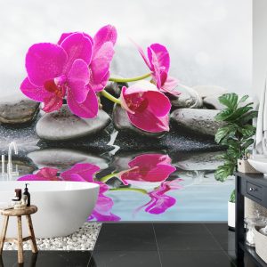 Papier Peint Magnifique Bébé Chou Spa – Image 5