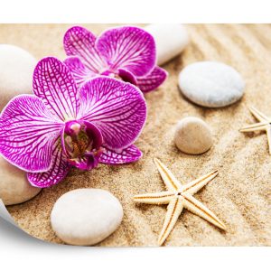 Papier Peint Orchid Beach Spa – Image 2