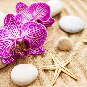 Papier Peint Orchid Beach Spa – Image 1
