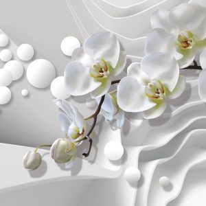 Papier Peint Orchidées Blanches – Image 1