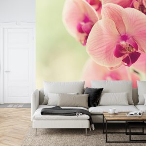 Papier Peint Belle Orchidée – Image 6