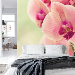 Papier Peint Belle Orchidée – Image 8