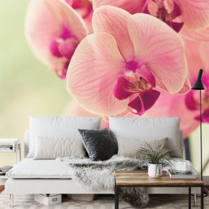 Papier Peint Belle Orchidée – Image 3