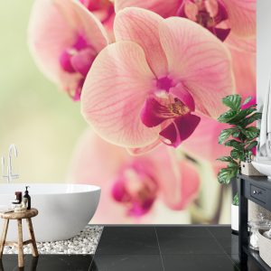 Papier Peint Belle Orchidée – Image 5