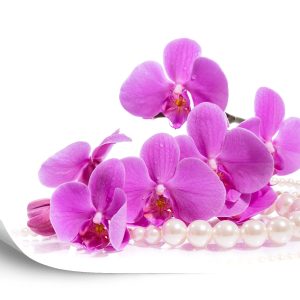 Papier Peint Herbes Et Perles De Garçon – Image 2