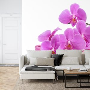 Papier Peint Herbes Et Perles De Garçon – Image 6