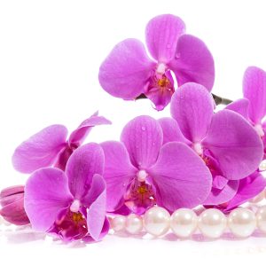 Papier Peint Herbes Et Perles De Garçon – Image 1