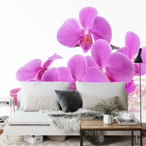 Papier Peint Herbes Et Perles De Garçon – Image 3