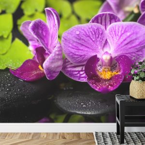 Papier Peint Spa Aux Orchidées – Image 7