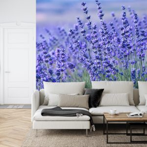 Papier Peint Forêt Dans Le Brouillard – Image 6