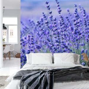 Papier Peint Forêt Dans Le Brouillard – Image 8