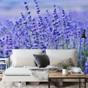 Papier Peint Forêt Dans Le Brouillard – Image 3