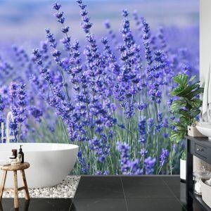 Papier Peint Forêt Dans Le Brouillard – Image 5