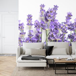 Papier Peint Forêt Dans Le Brouillard – Image 6