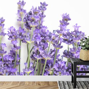 Papier Peint Forêt Dans Le Brouillard – Image 7