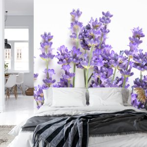 Papier Peint Forêt Dans Le Brouillard – Image 8