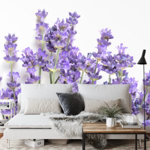 Papier Peint Forêt Dans Le Brouillard – Image 3