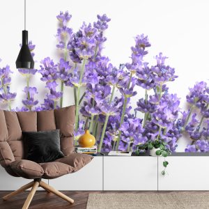 Papier Peint Forêt Dans Le Brouillard – Image 4