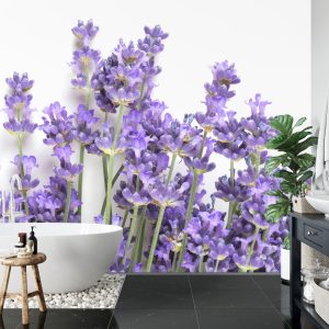 Papier Peint Forêt Dans Le Brouillard – Image 5