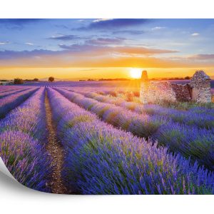 Papier Peint Forêt Dans Le Brouillard – Image 2