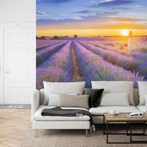 Papier Peint Forêt Dans Le Brouillard – Image 6