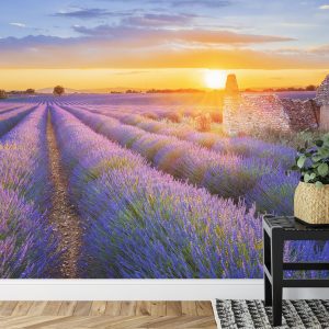 Papier Peint Forêt Dans Le Brouillard – Image 7