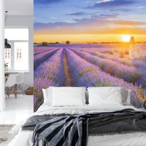 Papier Peint Forêt Dans Le Brouillard – Image 8