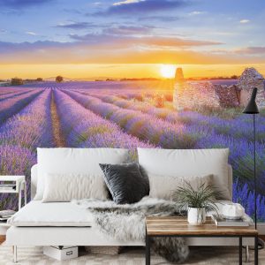 Papier Peint Forêt Dans Le Brouillard – Image 3