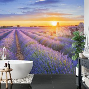 Papier Peint Forêt Dans Le Brouillard – Image 5