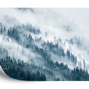 Papier Peint Forêt Dans Le Brouillard – Image 2