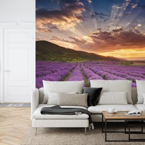 Papier Peint Forêt Dans Le Brouillard – Image 6