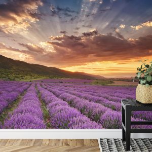 Papier Peint Forêt Dans Le Brouillard – Image 7