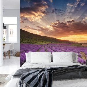 Papier Peint Forêt Dans Le Brouillard – Image 8