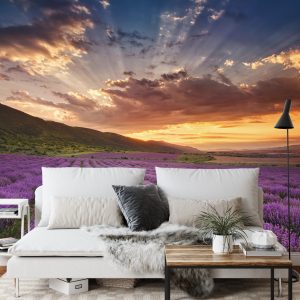 Papier Peint Forêt Dans Le Brouillard – Image 3