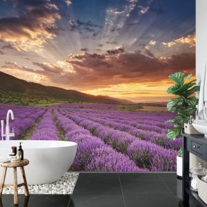 Papier Peint Forêt Dans Le Brouillard – Image 5