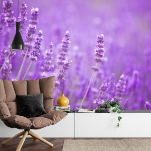 Papier Peint Fototapete Landschaft Feld Lavande – Image 4