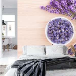 Papier Peint Forêt Dans Le Brouillard – Image 8