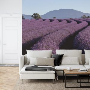 Papier Peint Forêt Dans Le Brouillard – Image 6