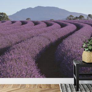 Papier Peint Forêt Dans Le Brouillard – Image 7