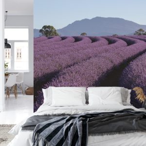 Papier Peint Forêt Dans Le Brouillard – Image 8