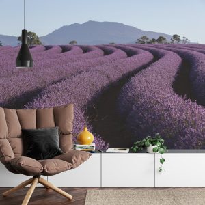 Papier Peint Forêt Dans Le Brouillard – Image 4