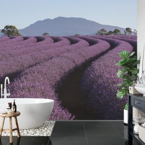 Papier Peint Forêt Dans Le Brouillard – Image 5