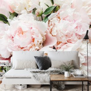 Papier Peint Pivoines Colorées – Image 3