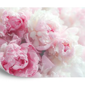 Papier Peint Pivoines En Fleurs – Image 2