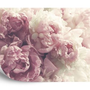 Papier Peint Pivoines En Fleurs – Image 2