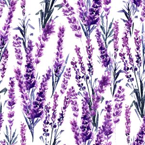 Papier Peint Fleurs De Lavande – Image 1