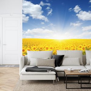 Papier Peint Champ De Tournesols En Fleurs – Image 6