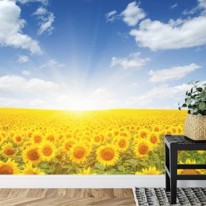 Papier Peint Champ De Tournesols En Fleurs – Image 7