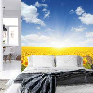 Papier Peint Champ De Tournesols En Fleurs – Image 8