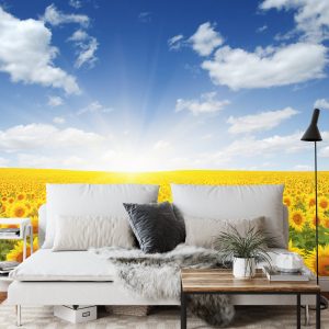 Papier Peint Champ De Tournesols En Fleurs – Image 3